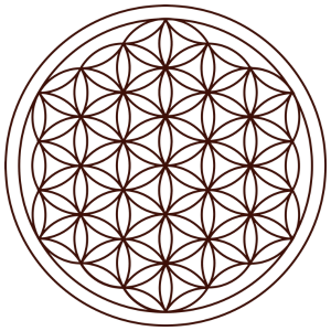 Icons Blume , Spirale , Chakra (300 x 300 px)(2)